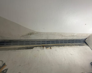 IMG 1635